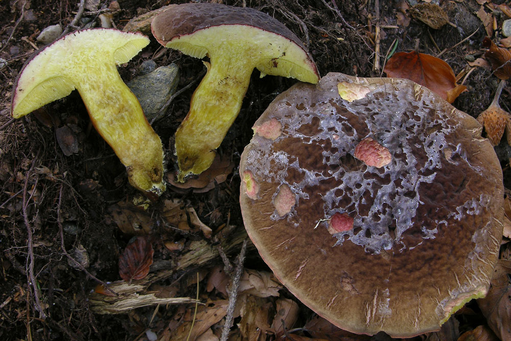 Svuotando l''archivio 2009....3� e ultima parte.